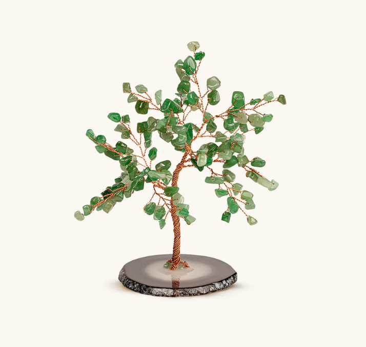 Erfolg Feng-Shui-Jadebaum